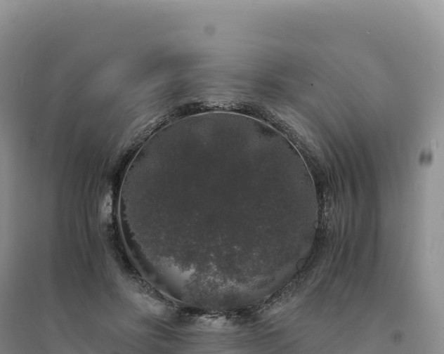 X0000094360502200711091518