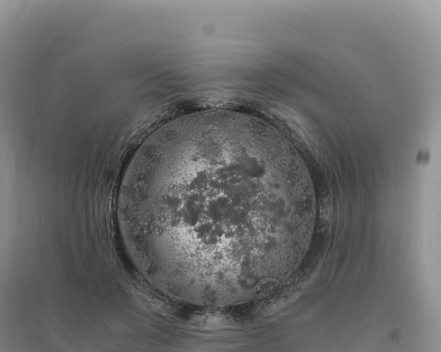 X0000094360503200711091518