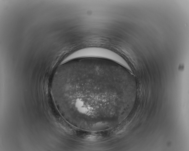 X0000094360504200711091518