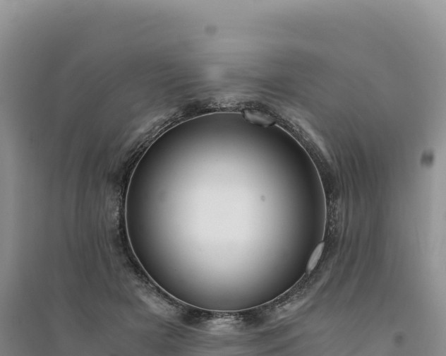 X0000094360505200711091518