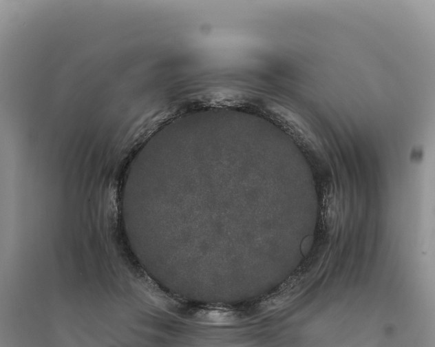 X0000094360506200711091518