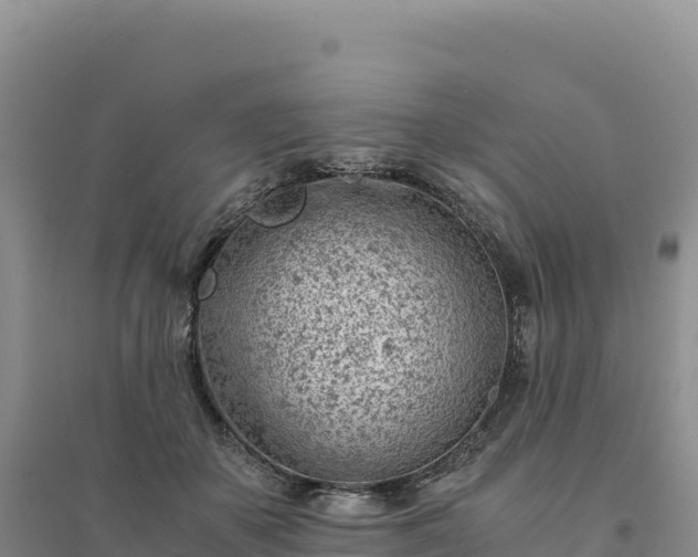 X0000094360507200711091518