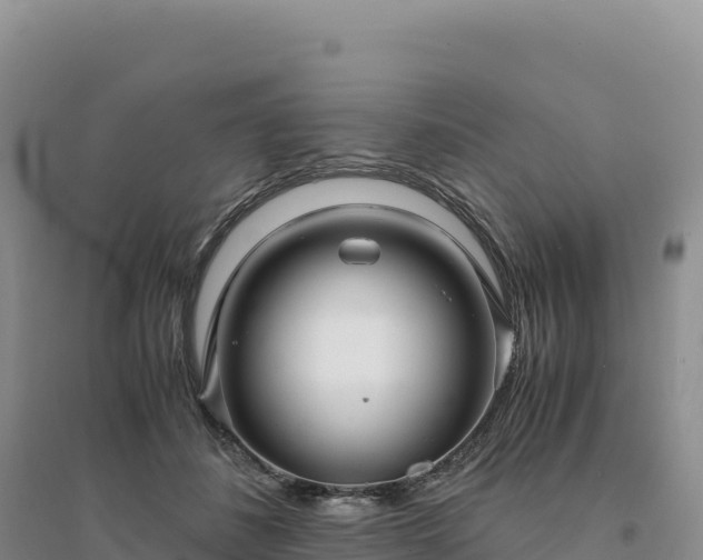 X0000094360508200711091518