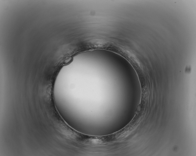 X0000094360509200711091518
