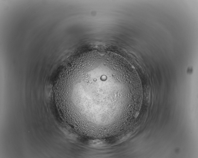 X0000094360511200711091518