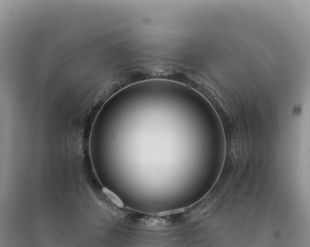 X0000094360512200711091518