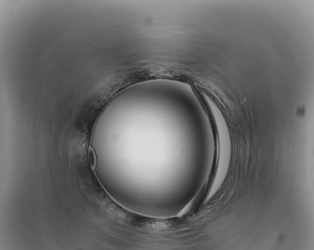 X0000094360513200711091518
