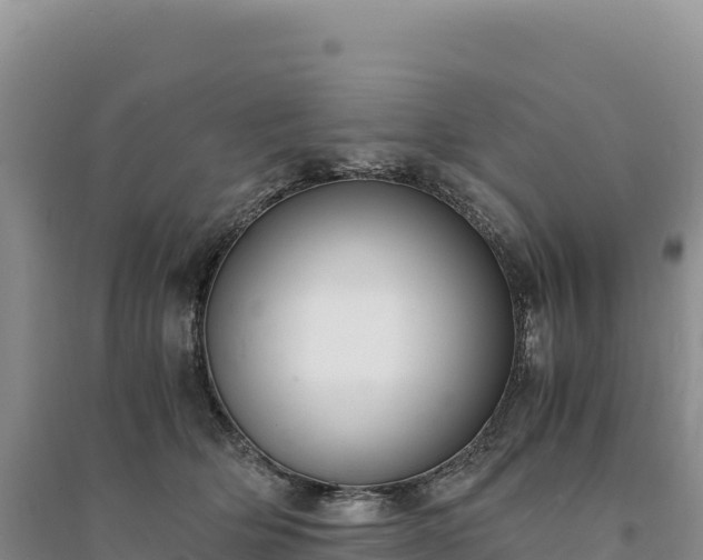 X0000094360514200711091518