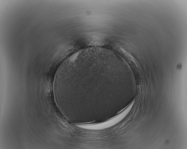 X0000094360517200711091518
