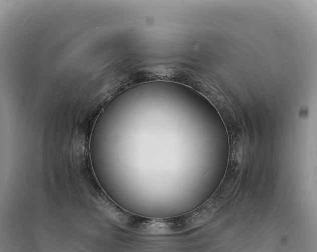 X0000094360518200711091518