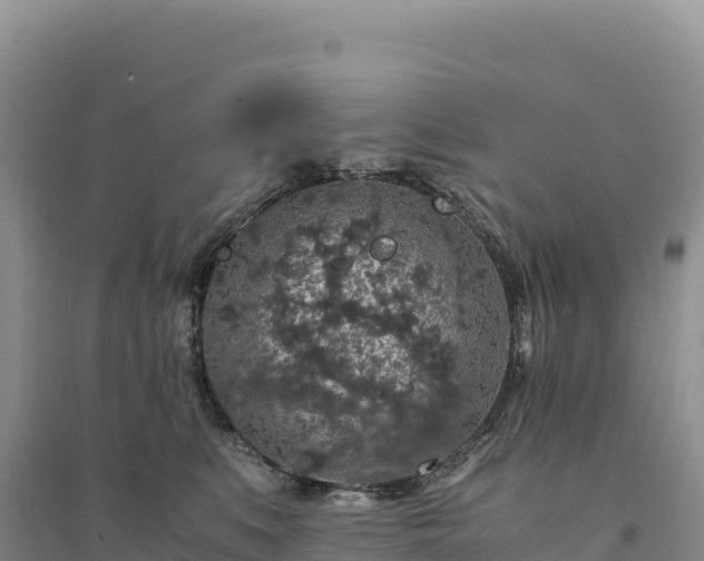 X0000094360519200711091518