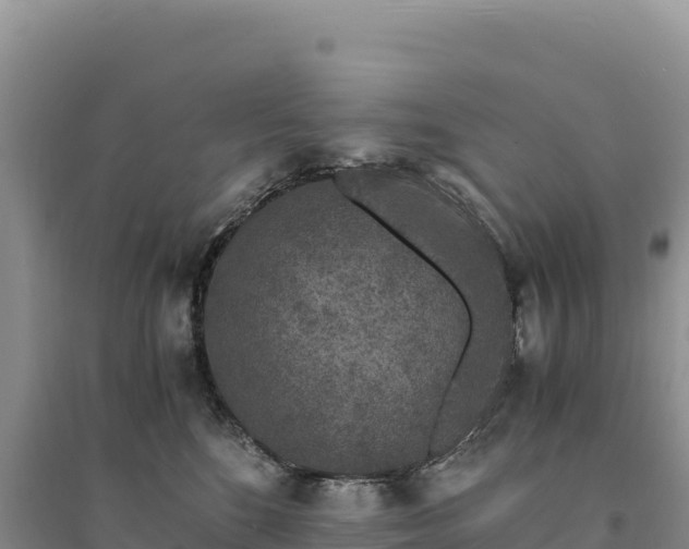 X0000094360520200711091518