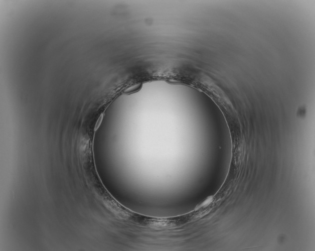 X0000094360521200711091518