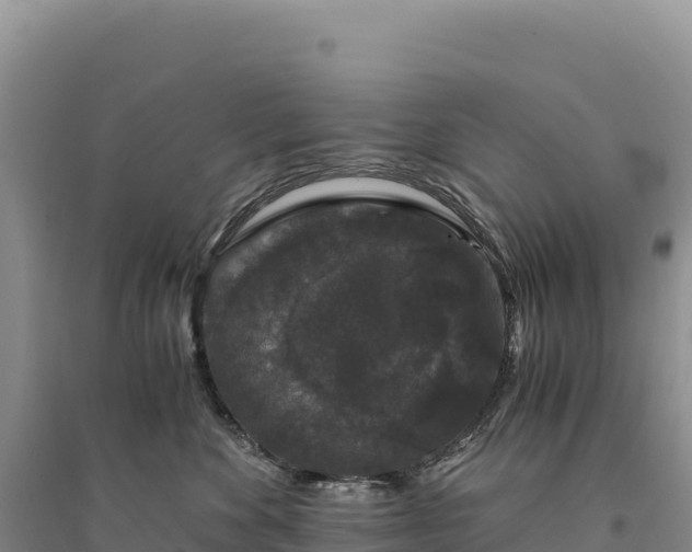 X0000094360524200711091518