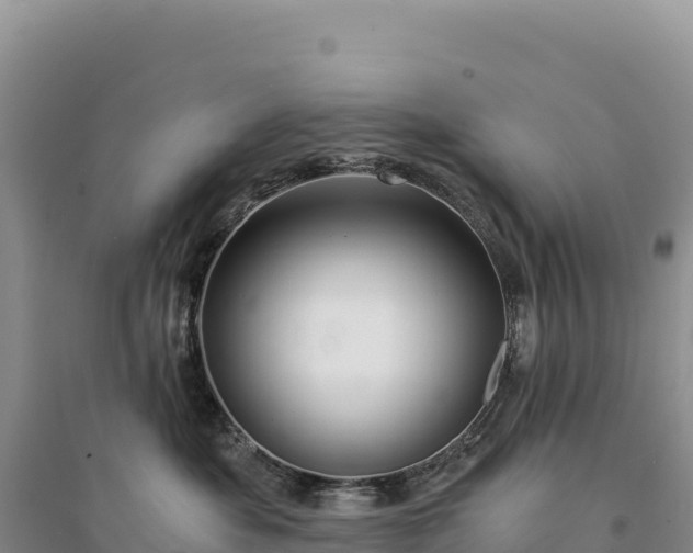 X0000094360525200711091518