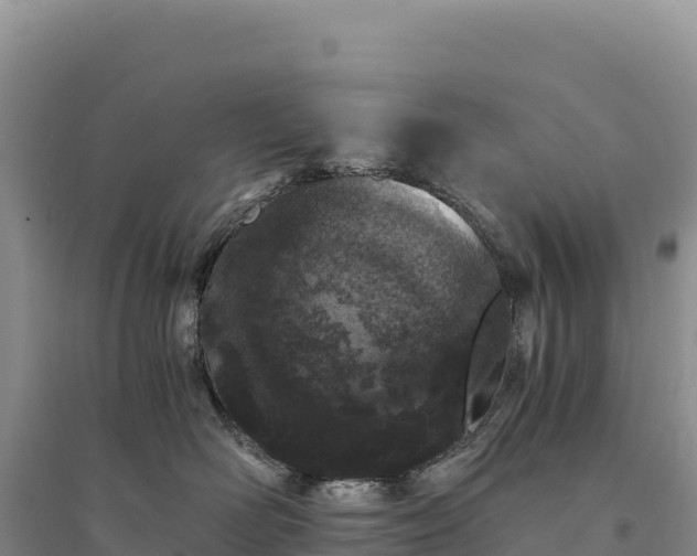 X0000094360526200711091518