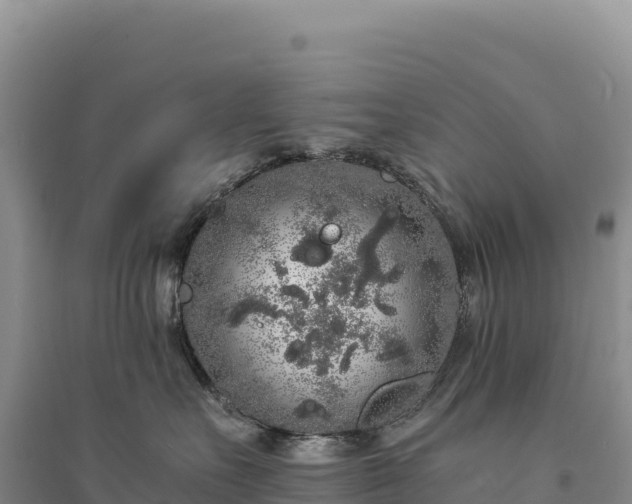 X0000094360527200711091518