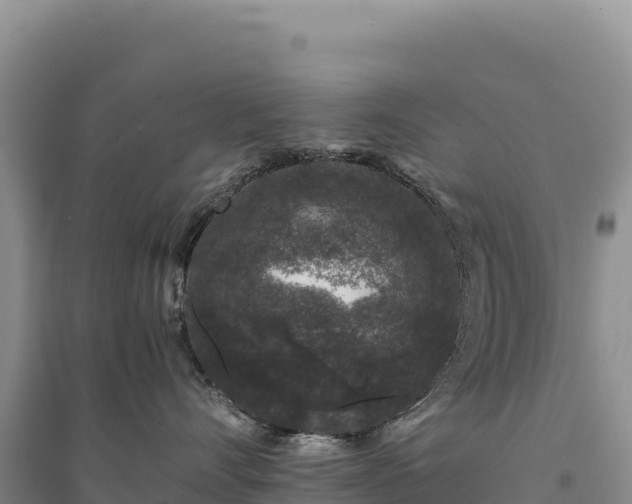 X0000094360528200711091518