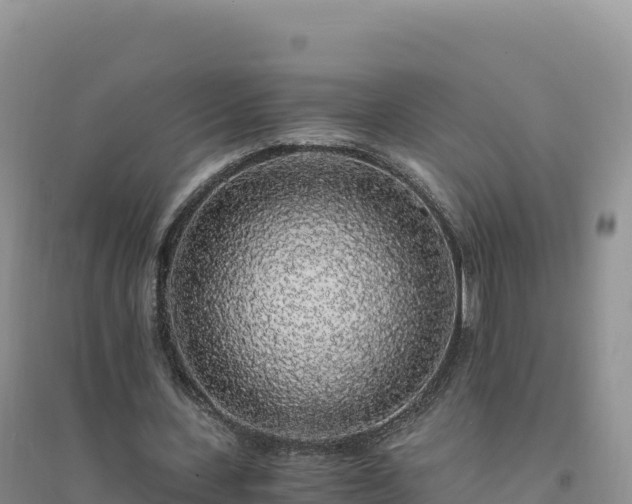 X0000094360531200711091517