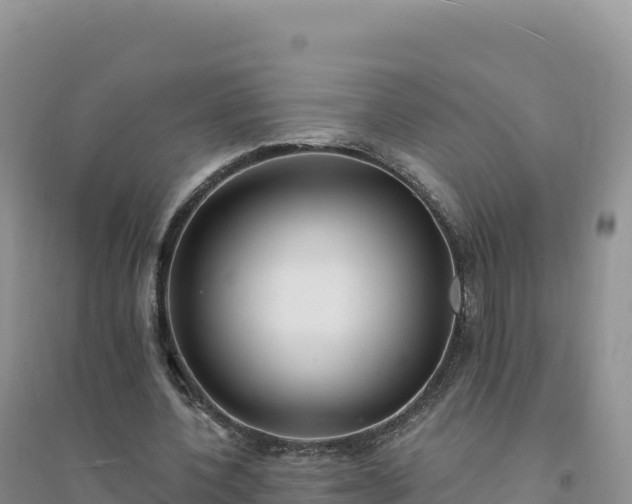 X0000094360532200711091517