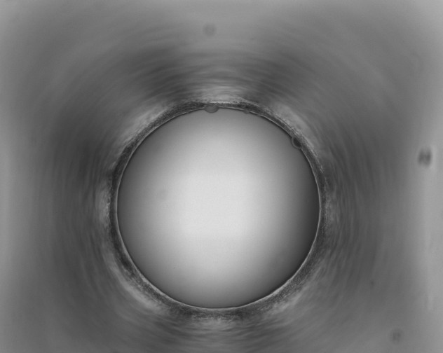 X0000094360533200711091517
