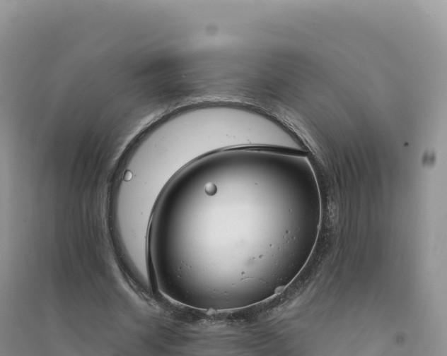 X0000094360534200711091517