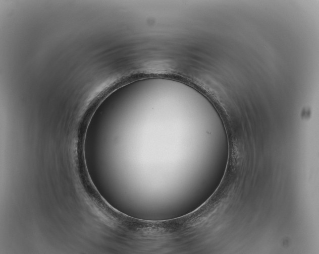 X0000094360535200711091517