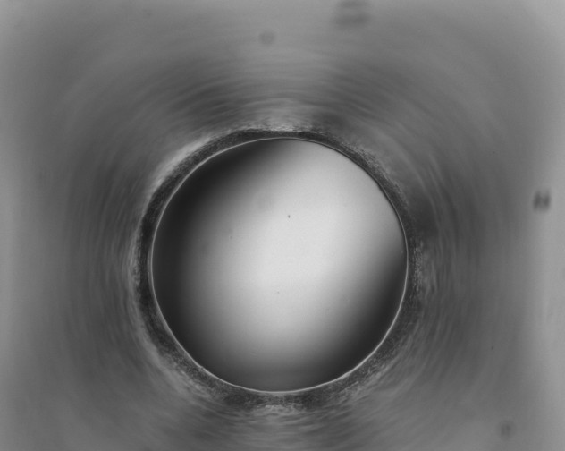 X0000094360536200711091517
