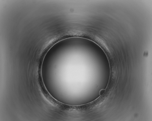 X0000094360538200711091517