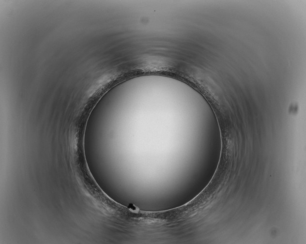 X0000094360539200711091517