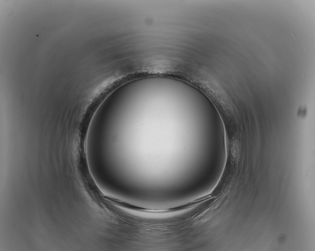 X0000094360540200711091517