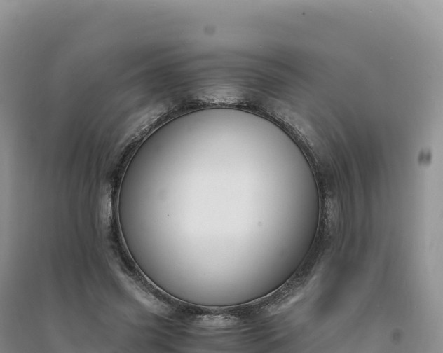 X0000094360541200711091517