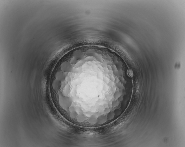 X0000094360542200711091517