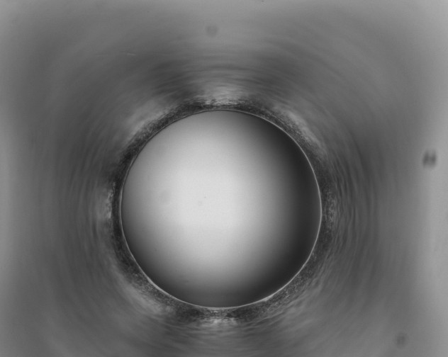 X0000094360543200711091517