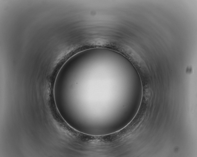 X0000094360544200711091517