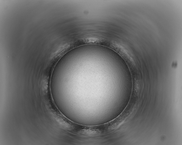 X0000094360545200711091517