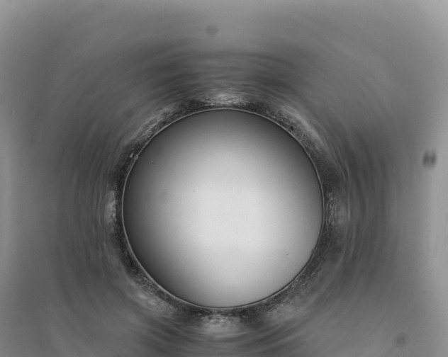 X0000094360549200711091517