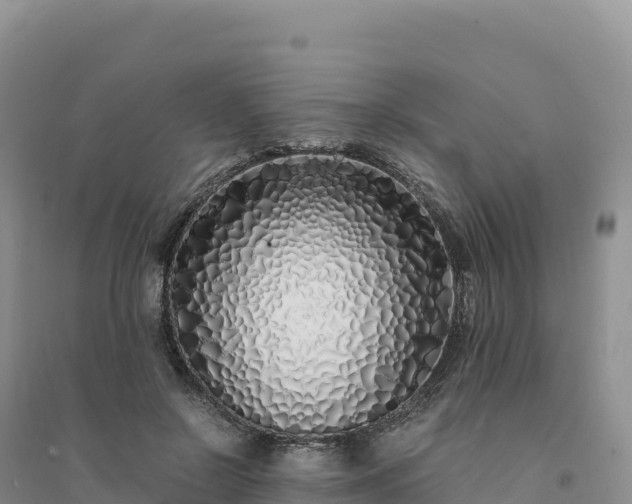 X0000094360550200711091517