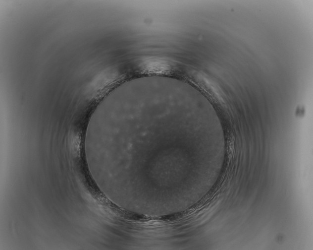 X0000094360551200711091517