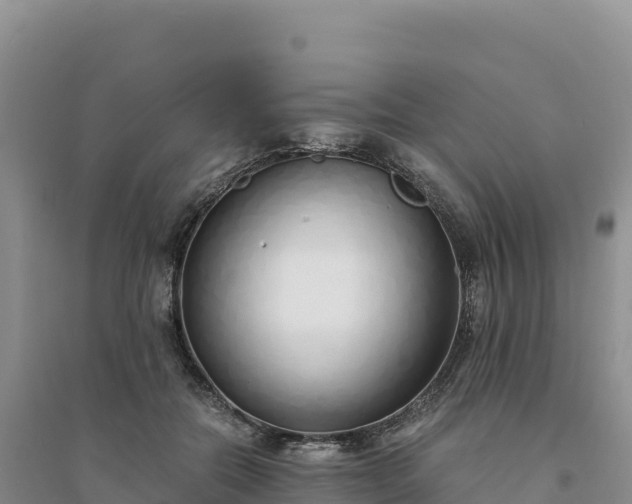 X0000094360554200711091517