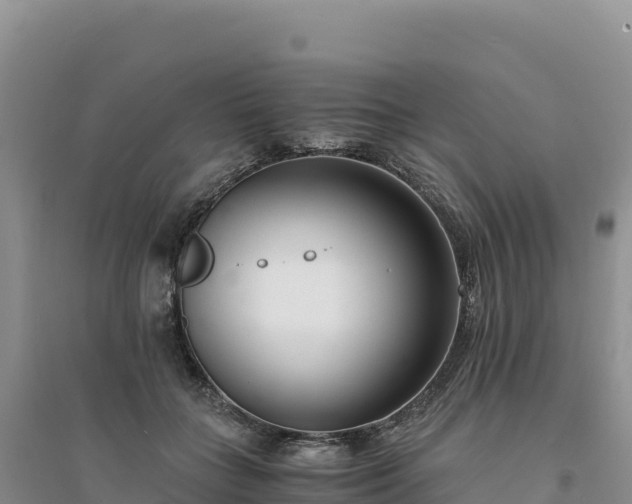 X0000094360555200711091517