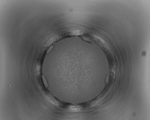 X0000094360556200711091517