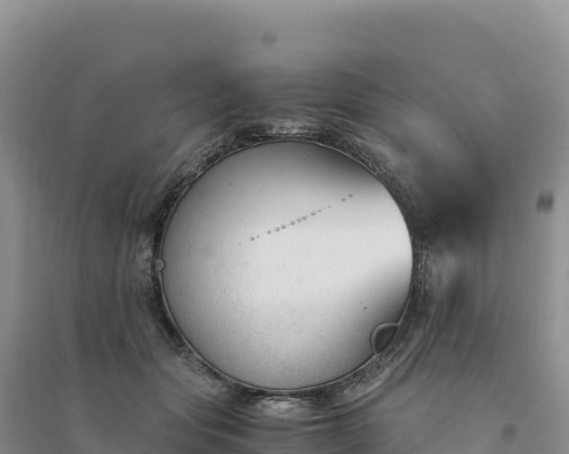 X0000094360557200711091517