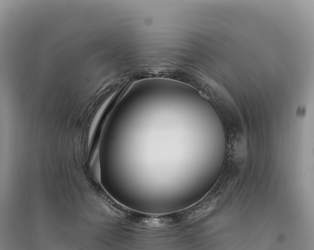 X0000094360558200711091517