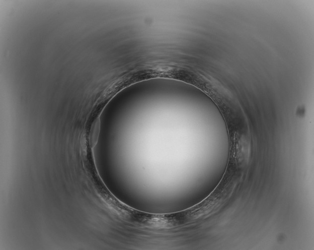 X0000094360562200711091517