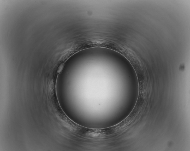 X0000094360563200711091517