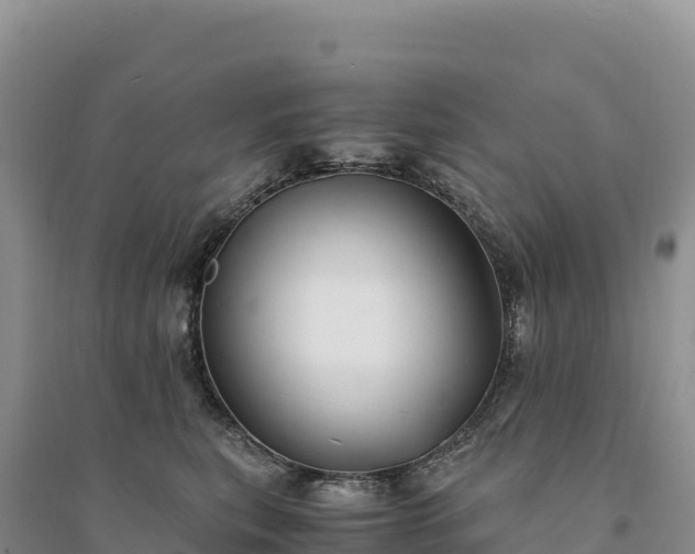 X0000094360567200711091517