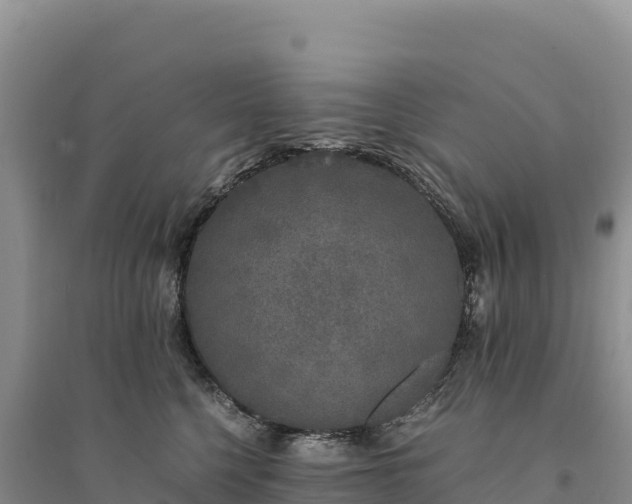 X0000094360568200711091517