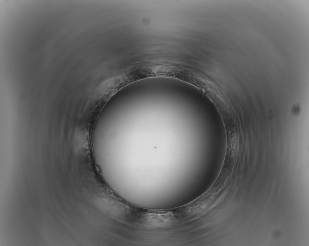 X0000094360571200711091517