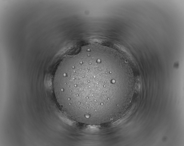 X0000094360573200711091517